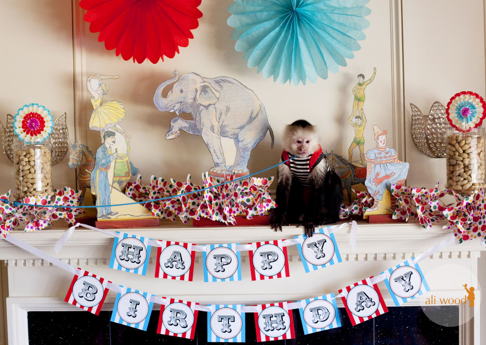 Circus Birthday Party Ideas