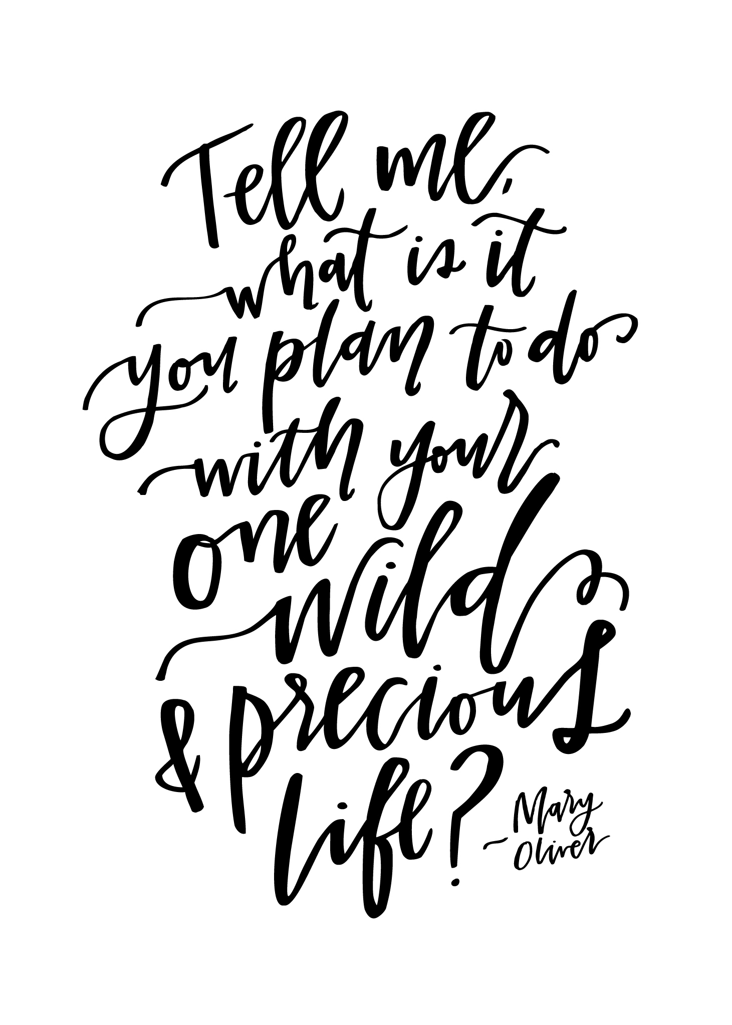 http://www.thetomkatstudio.com/wp-content/uploads/2017/06/5x7-Wild-Precious-Life-Quote-by-Lettered-Life-1.jpg